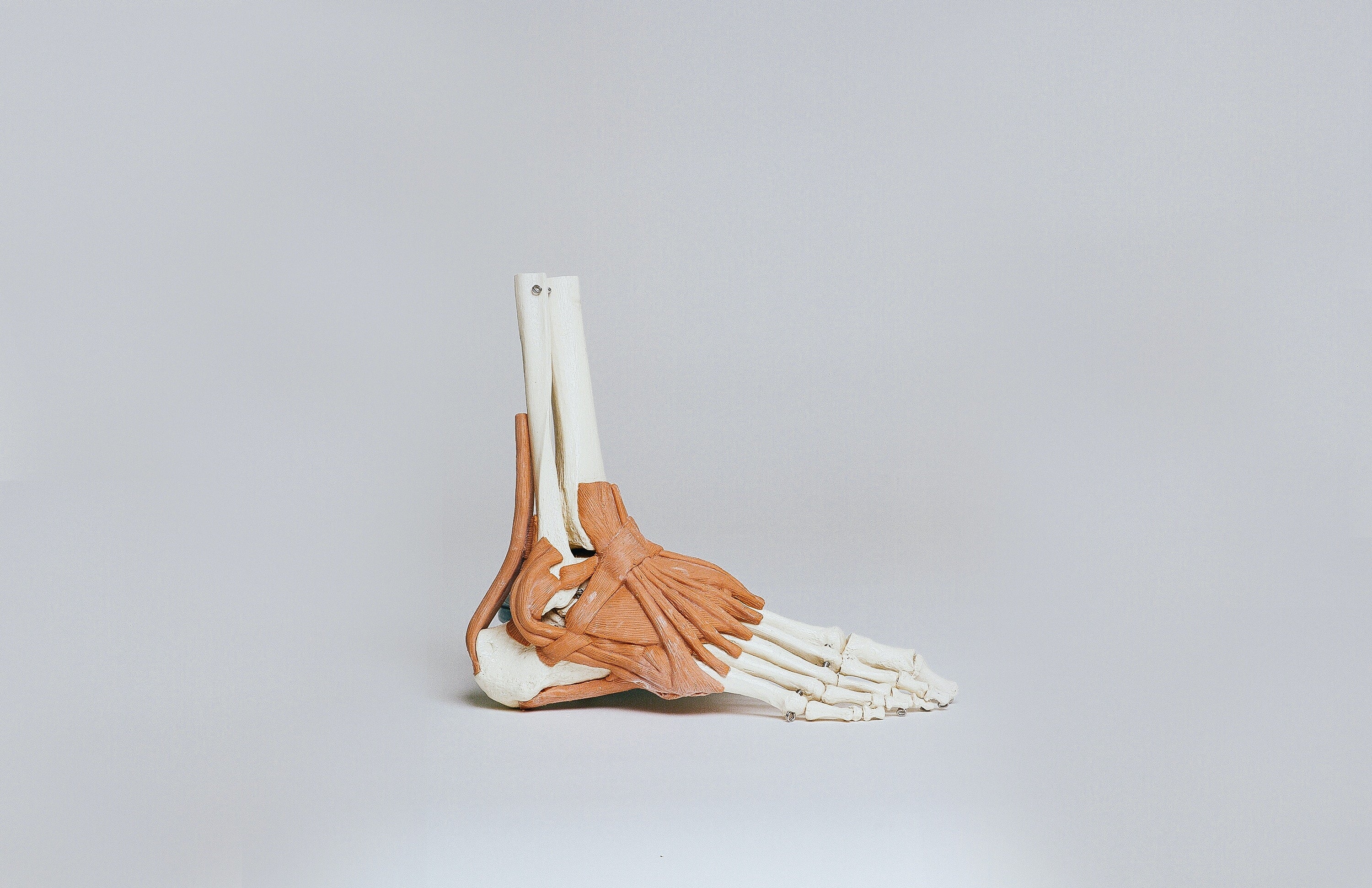 Sprained ankle vs. broken ankle